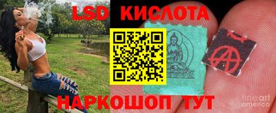 эйфоретик Гулькевичи