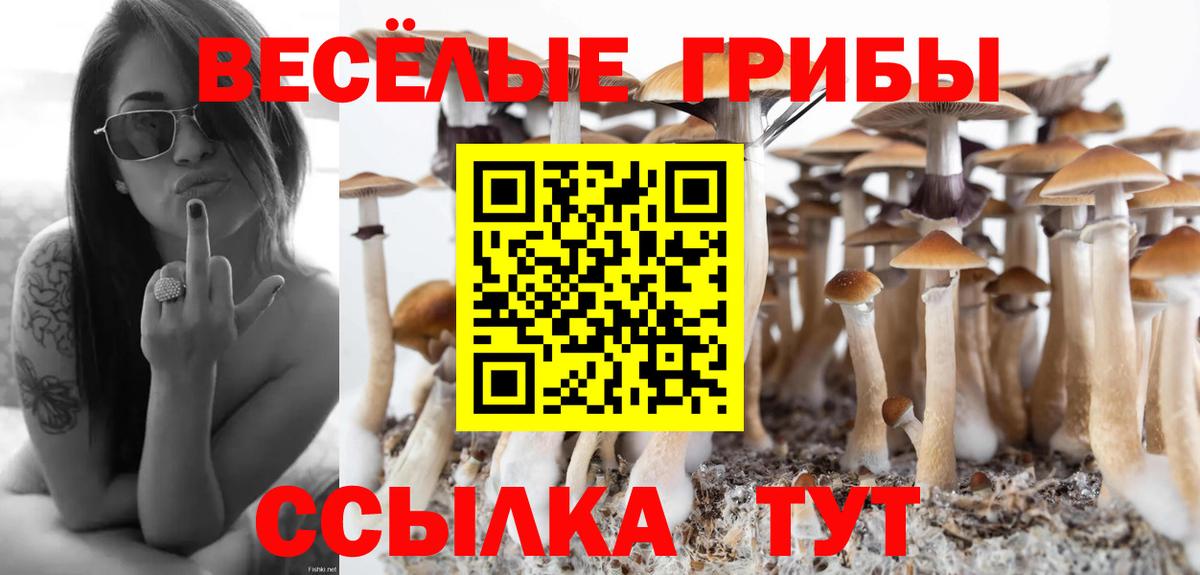 Псилоцибиновые грибы Psilocybine cubensis  Вход с VPN  Октябрьский 